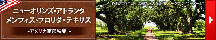 アメリカ南部旅行・ツアー