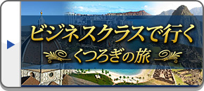 ビジネスクラスツアー・旅行