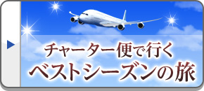 チャーター便利用ツアー・旅行