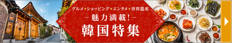 韓国特集