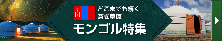 モンゴル特集