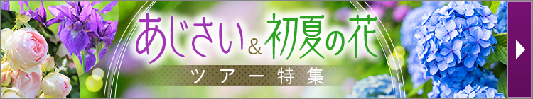 あじさい・初夏の花ツアー特集