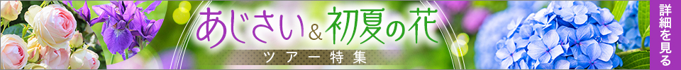 あじさい・初夏の花ツアー特集