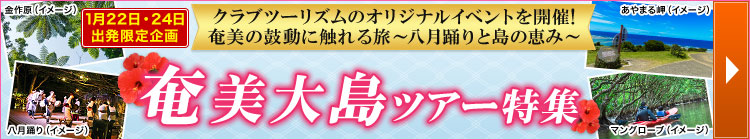 奄美大島ツアー