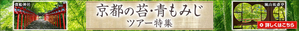 京都の苔・青もみじツアー・旅行│クラブツーリズム