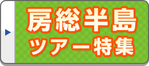 房総半島旅行・ツアー