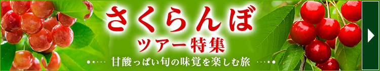 さくらんぼツアー特集