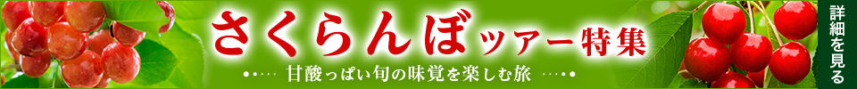 さくらんぼツアー特集