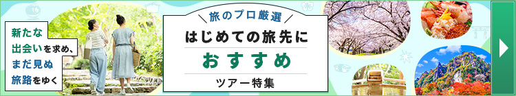 はじめての旅先におすすめツアー特集！旅のプロが厳選
