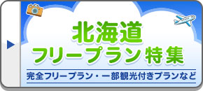北海道フリープランツアー・旅行
