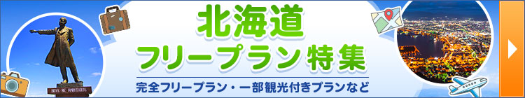 北海道フリープラン特集（イメージ）