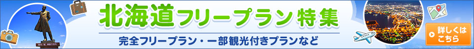 北海道フリープラン特集（イメージ）