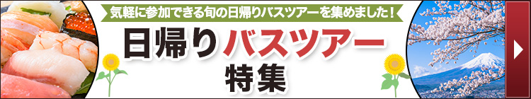 日帰りバスツアー