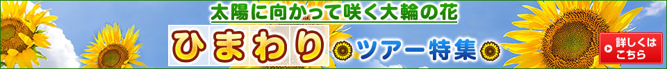 ひまわりツアー・旅行