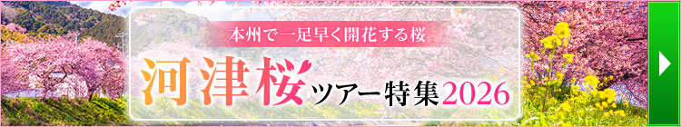 河津桜ツアー特集