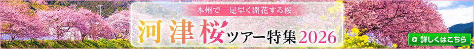 河津桜ツアー特集