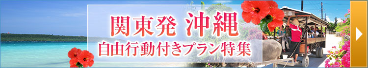 関東発・沖縄自由行動付きプラン特集（イメージ）