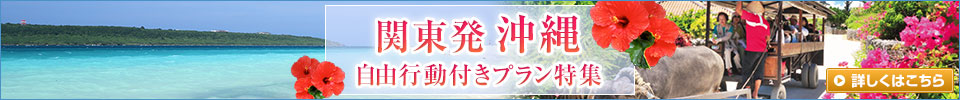 関東発・沖縄自由行動付きプラン特集（イメージ）