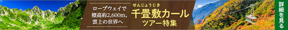 千畳敷カール旅行・ツアー