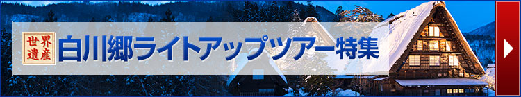 白川郷ライトアップツアー
