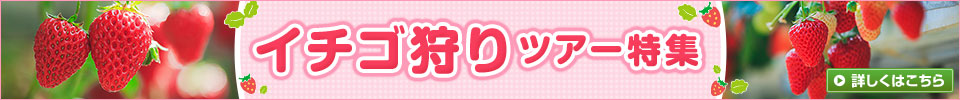 イチゴ狩りツアー