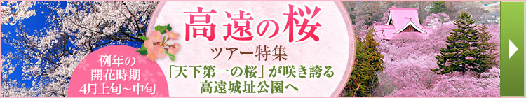 高遠の桜特集