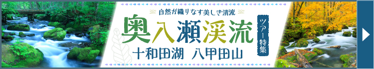 十和田湖・奥入瀬渓流・八甲田山ツアー特集（イメージ）