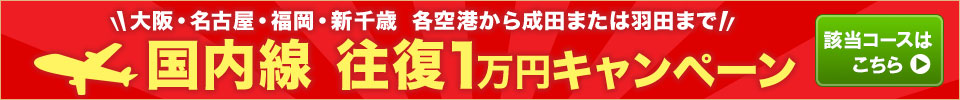 国内線 往復1万円キャンペーン