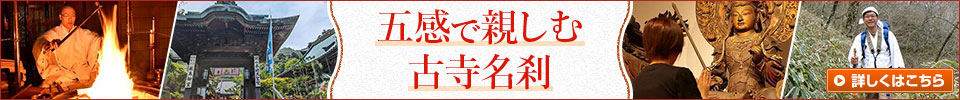 五感で親しむ古寺名刹
