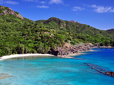 【4月横浜発着】ぱしふぃっくびいなす(小笠原)