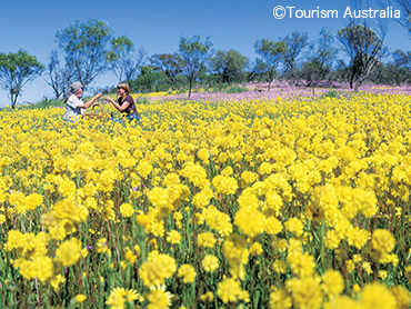 西オーストラリア特集 旅行・ツアー