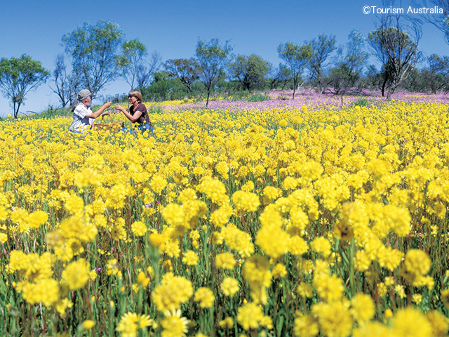 西オーストラリア特集 旅行・ツアー