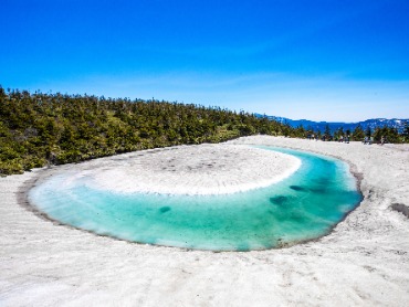 八幡平ドラゴンアイ 旅行・ツアー