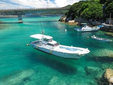 高知県・柏島ツアー特集 旅行・ツアー