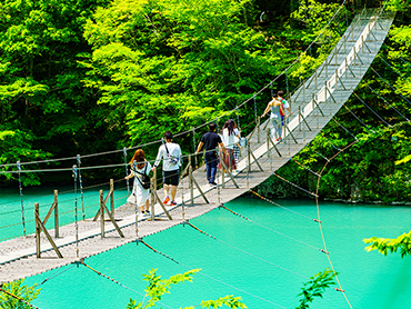 寸又峡(静岡県・川根本町) 旅行・ツアー