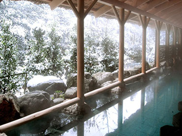 山中温泉ツアー・旅行 旅行・ツアー