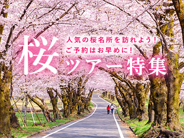 桜・お花見特集2024 旅行・ツアー