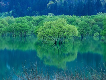 ゴールデンウィークツアー特集｜四季の華 旅行・ツアー