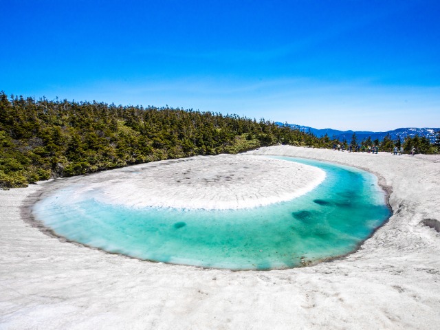 八幡平ドラゴンアイ 旅行・ツアー