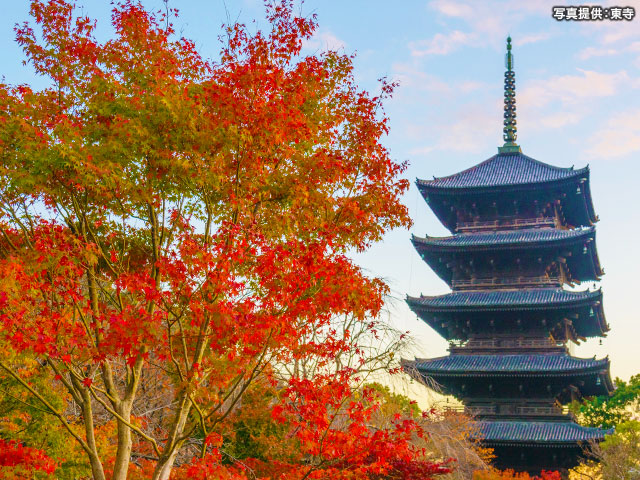 京都紅葉ツアー特集 旅行・ツアー