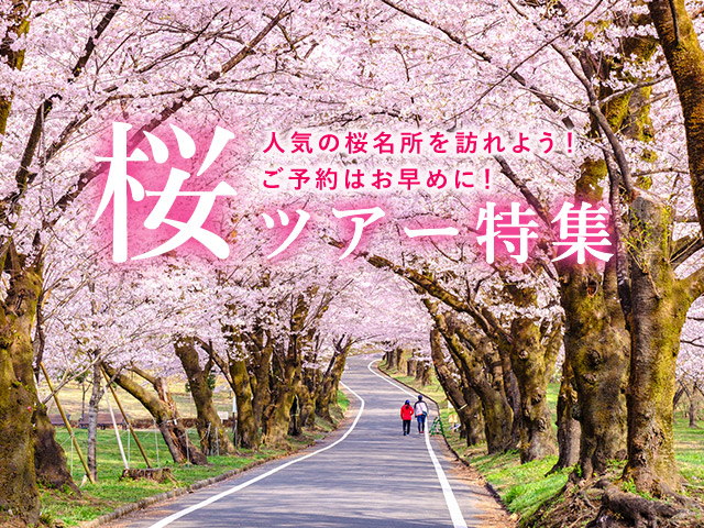 桜・お花見特集2024 旅行・ツアー