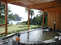 下田温泉（イメージ）