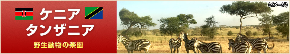 ケニア・タンザニア旅行・ツアー