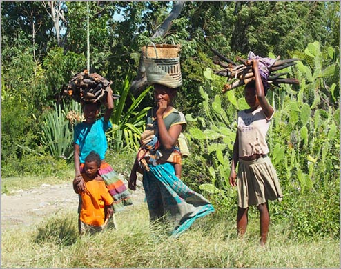 買い物籠を持った女性たち(イメージ)