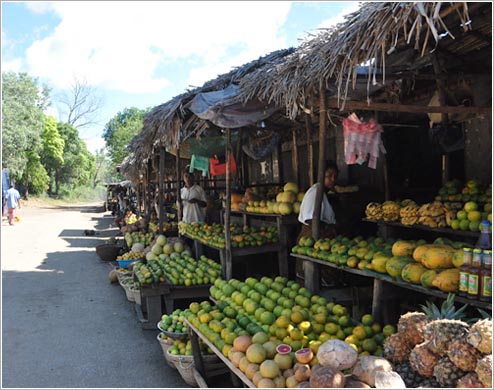 マーケット(イメージ)