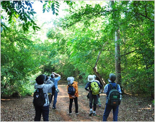 ウォーキングサファリ(イメージ)