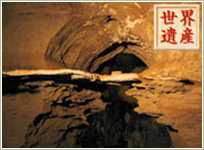 スタークフォンテン洞窟 （イメージ）