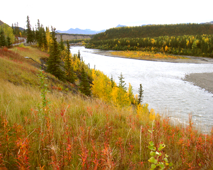 デナリ国立公園入口