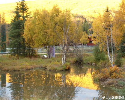 チェナ温泉黄葉