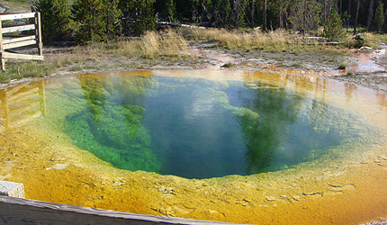 モーニンググローリープール